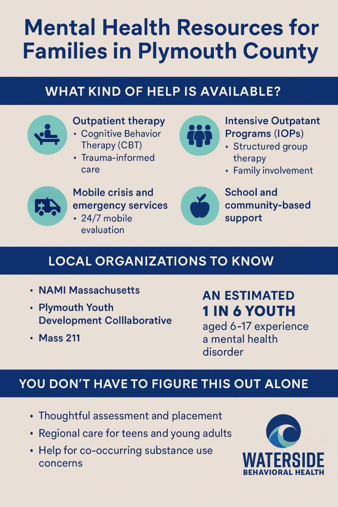 Mental Health Support in Plymouth County