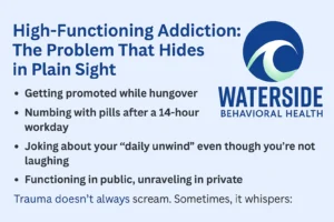 High-Functioning Addiction - WSBH